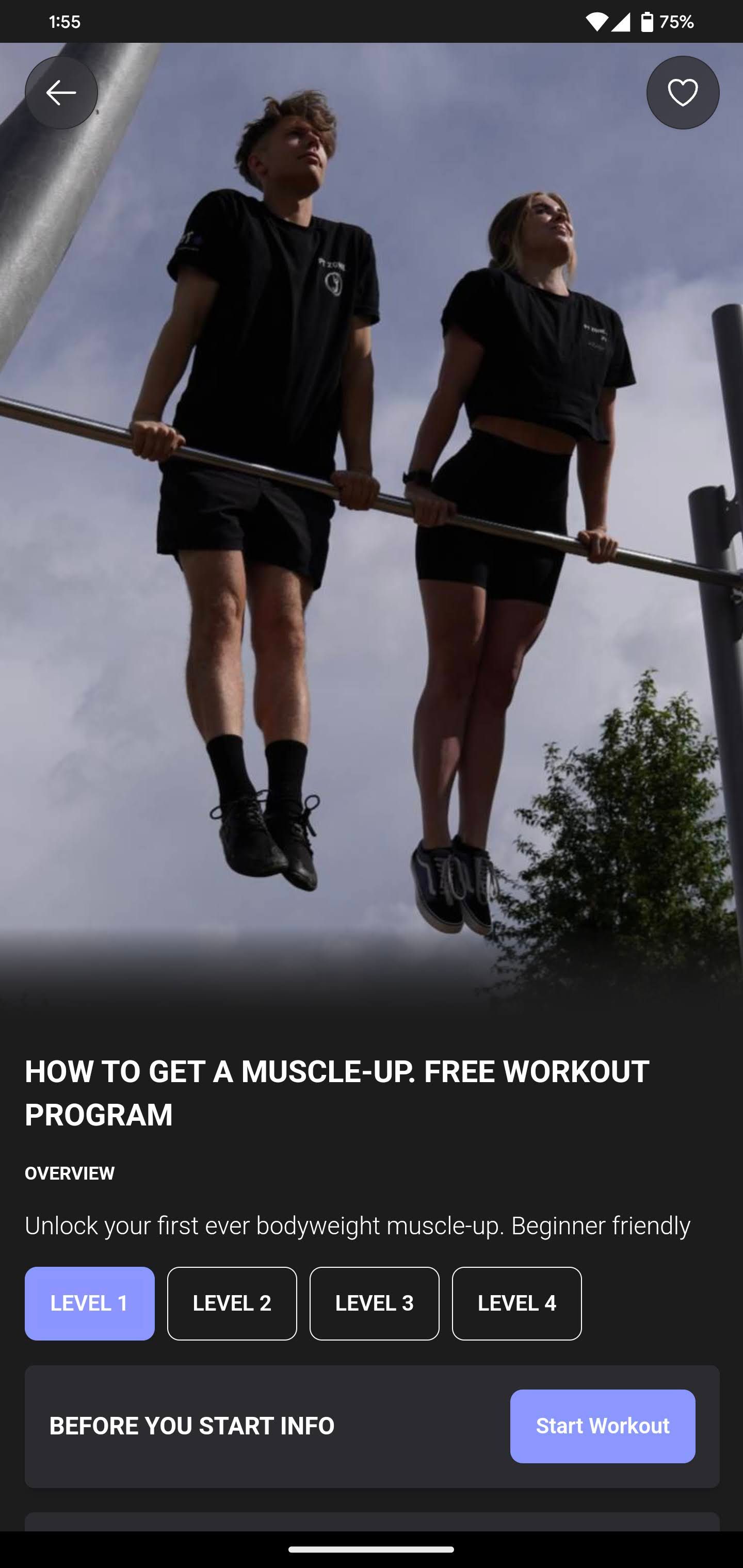 Muscle-Up for Beginners Workout Program