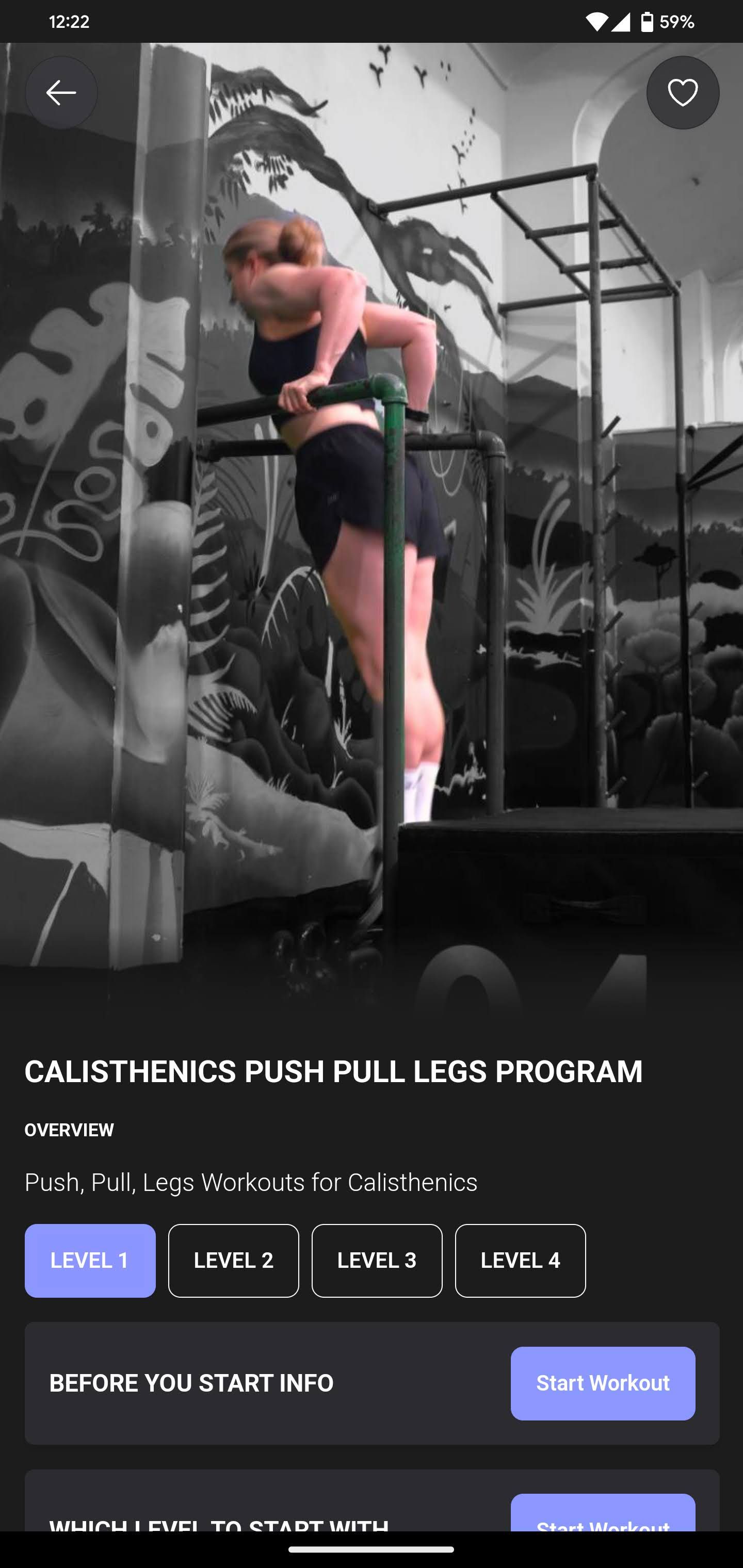 Calisthenics push pull legs workout program for beginners