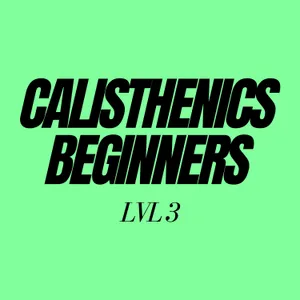 Calisthenics For Beginners Level 3